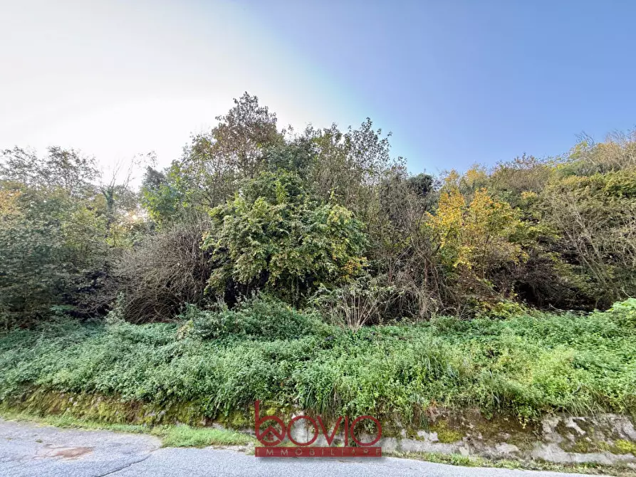 Immagine 7 di Terreno in vendita  in Strada Valle Massa SNC a Castiglione Torinese