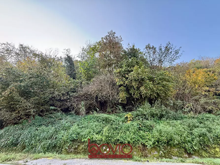 Immagine 8 di Terreno in vendita  in Strada Valle Massa SNC a Castiglione Torinese