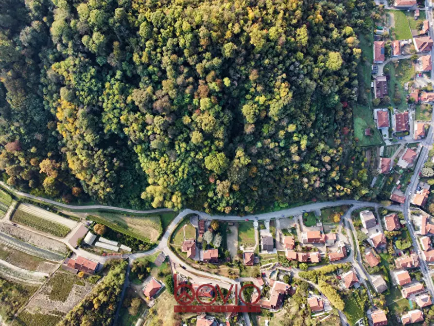 Immagine 14 di Terreno in vendita  in Strada Valle Massa SNC a Castiglione Torinese