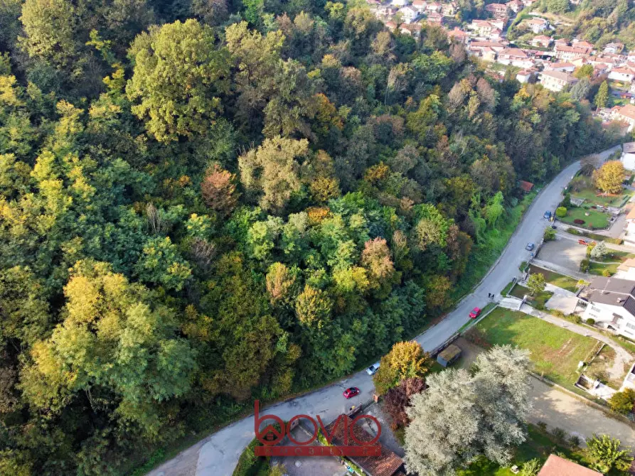 Immagine 17 di Terreno in vendita  in Strada Valle Massa SNC a Castiglione Torinese