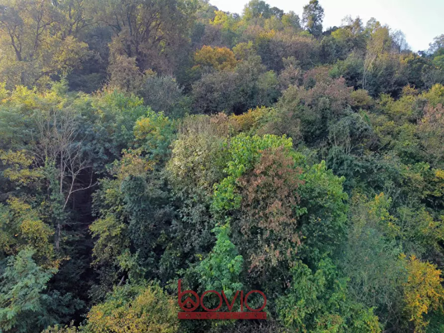 Immagine 20 di Terreno in vendita  in Strada Valle Massa SNC a Castiglione Torinese