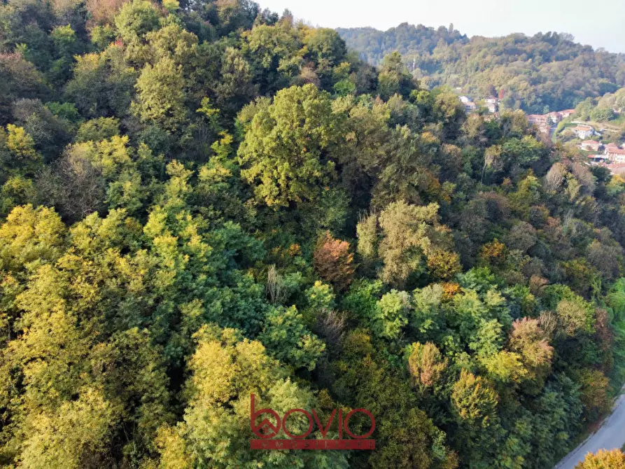 Immagine 21 di Terreno in vendita  in Strada Valle Massa SNC a Castiglione Torinese