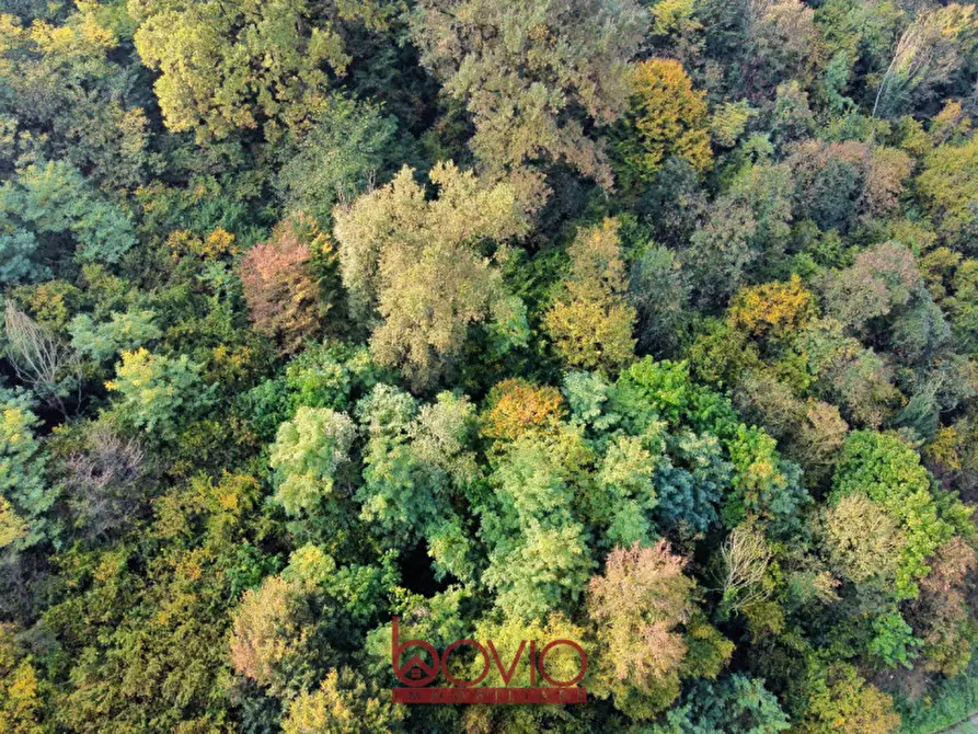 Immagine 33 di Terreno in vendita  in Strada Valle Massa SNC a Castiglione Torinese