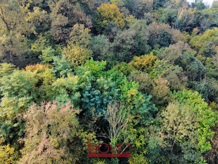 Immagine 36 di Terreno in vendita  in Strada Valle Massa SNC a Castiglione Torinese