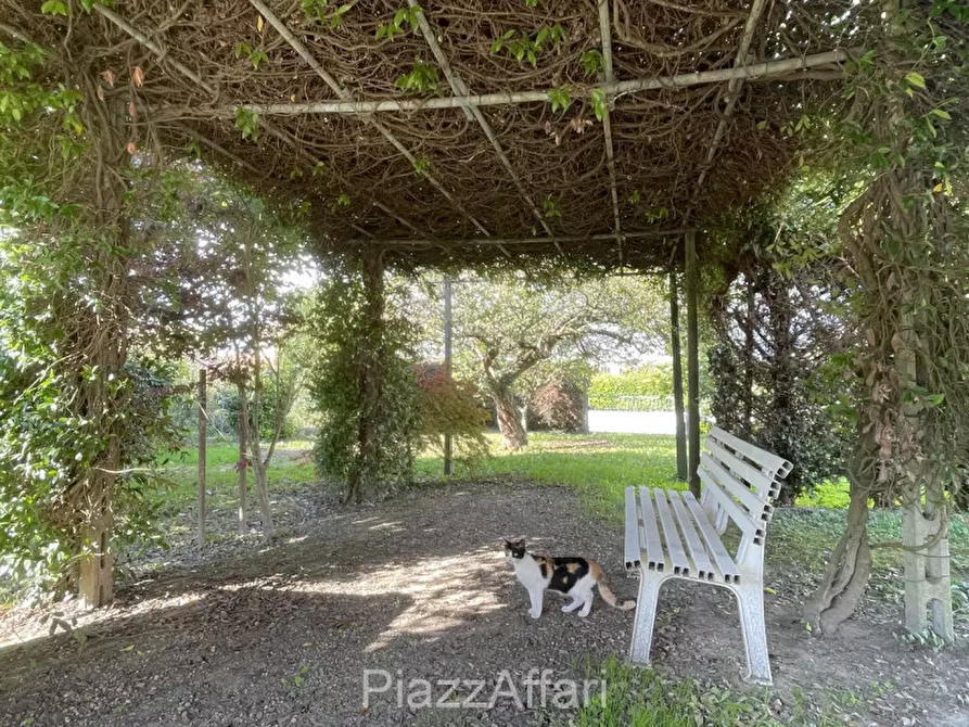 Immagine 6 di Casa indipendente in vendita  in Pegolotte a Cona