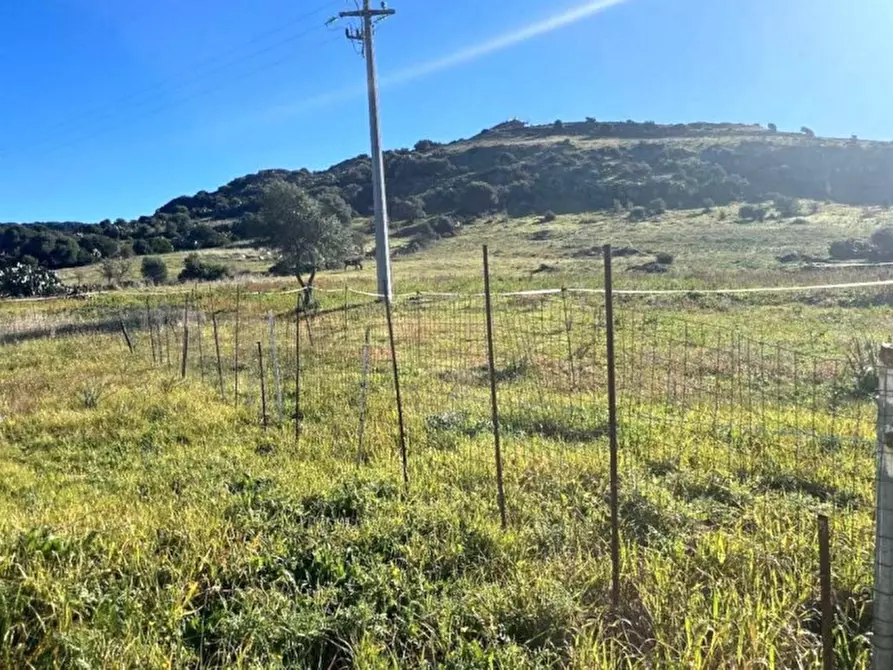 Immagine 3 di Terreno in vendita  in SC Bauladu - Villanova Truschedu, 09070 Bauladu OR, Italia a Bauladu