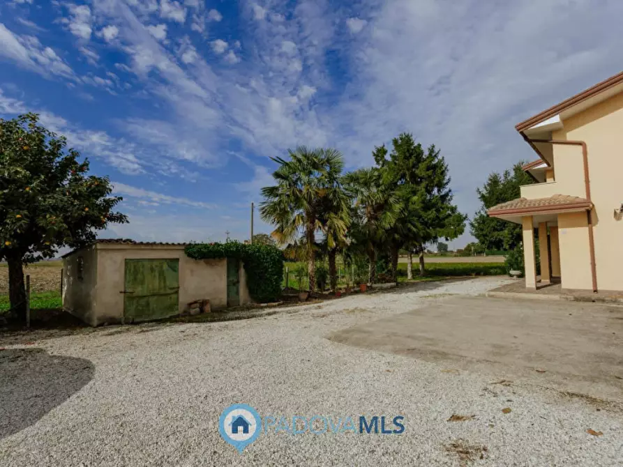 Immagine 7 di Casa indipendente in vendita  in Via Reniere a Agna