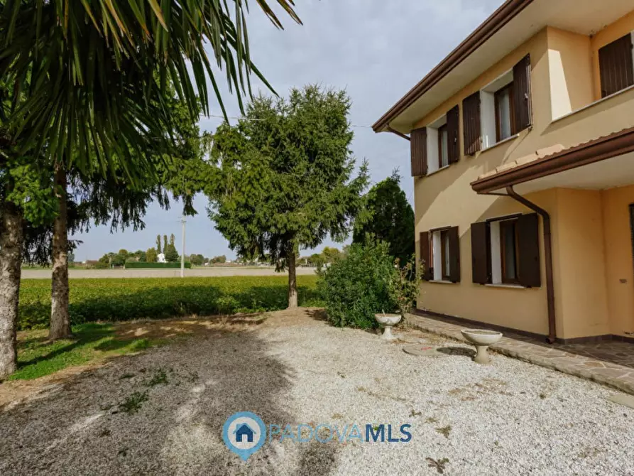 Immagine 9 di Casa indipendente in vendita  in Via Reniere a Agna