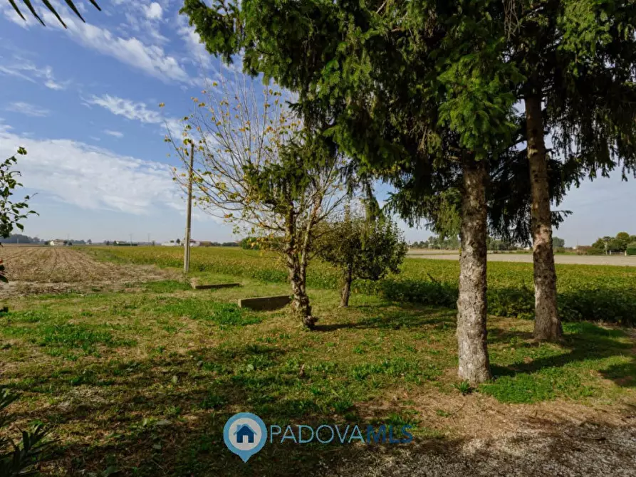 Immagine 10 di Casa indipendente in vendita  in Via Reniere a Agna