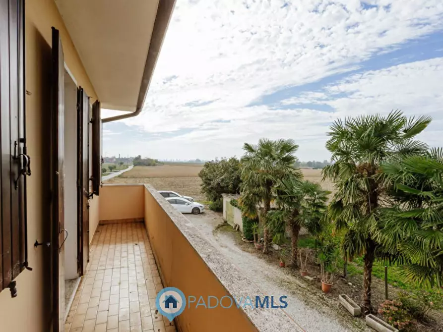 Immagine 34 di Casa indipendente in vendita  in Via Reniere a Agna