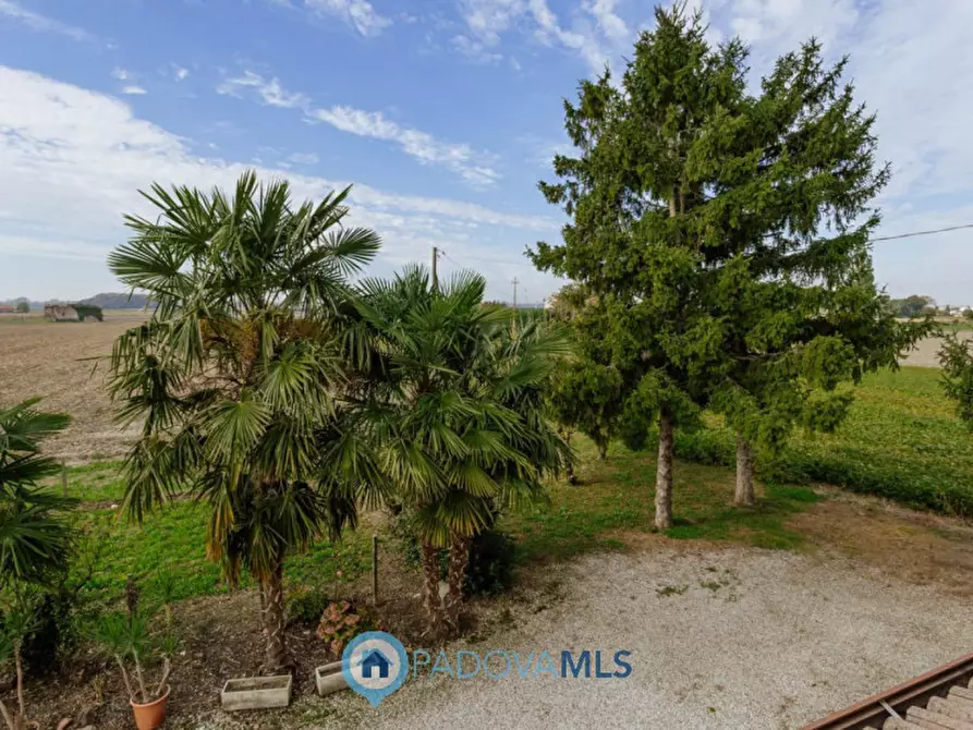 Immagine 36 di Casa indipendente in vendita  in Via Reniere a Agna