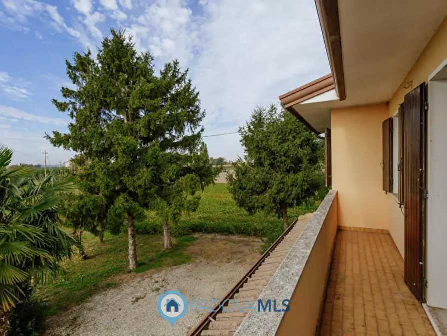 Immagine 37 di Casa indipendente in vendita  in Via Reniere a Agna