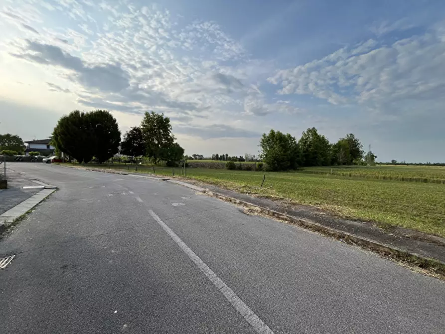 Immagine 2 di Terreno in vendita  in Via San Antonio a Veggiano