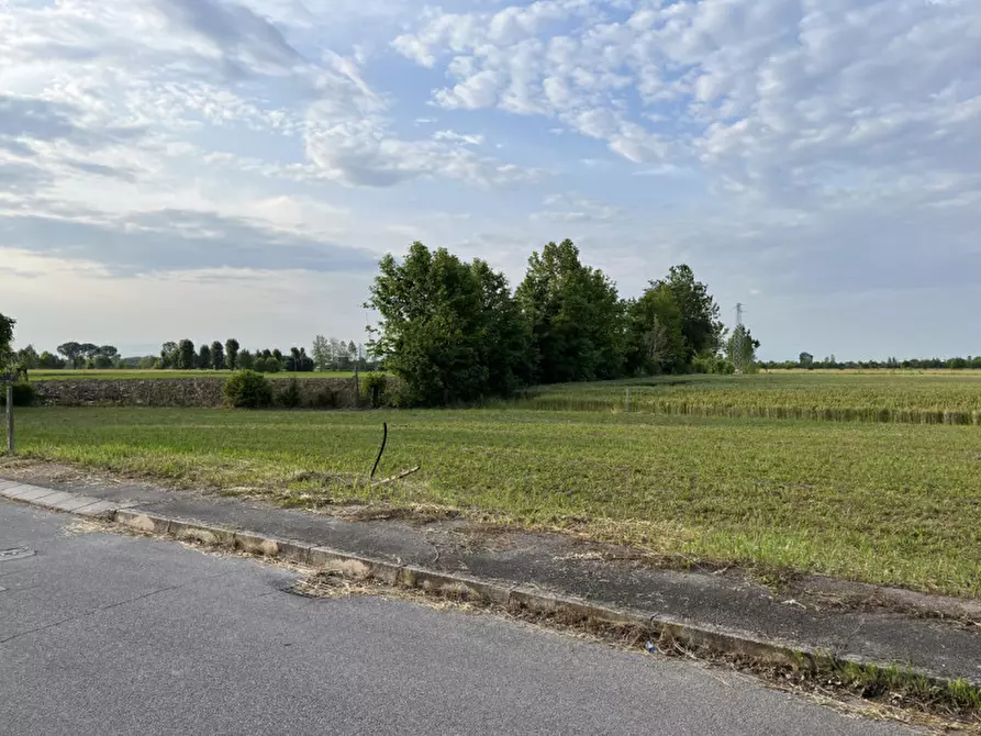 Immagine 5 di Terreno in vendita  in Via San Antonio a Veggiano