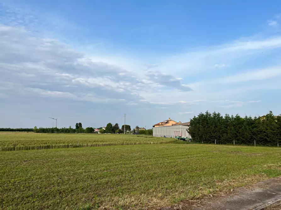 Immagine 7 di Terreno in vendita  in Via San Antonio a Veggiano
