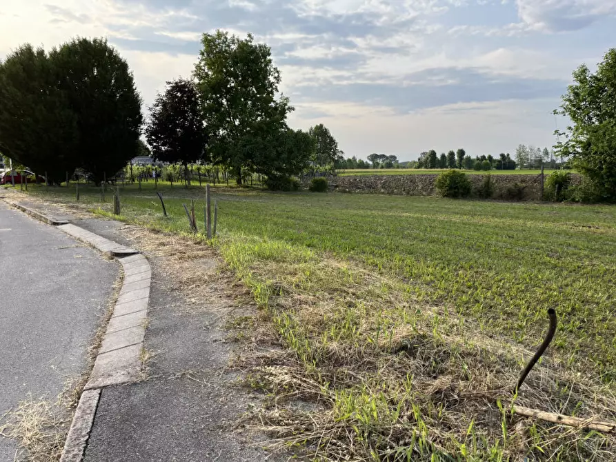 Immagine 8 di Terreno in vendita  in Via San Antonio a Veggiano