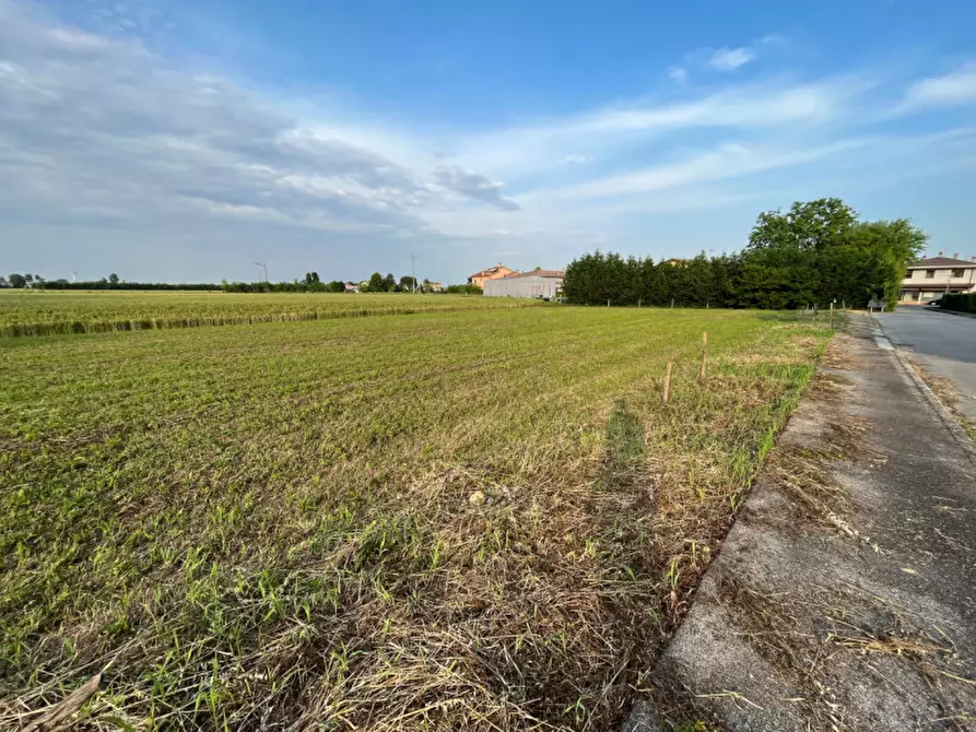 Immagine 9 di Terreno in vendita  in Via San Antonio a Veggiano