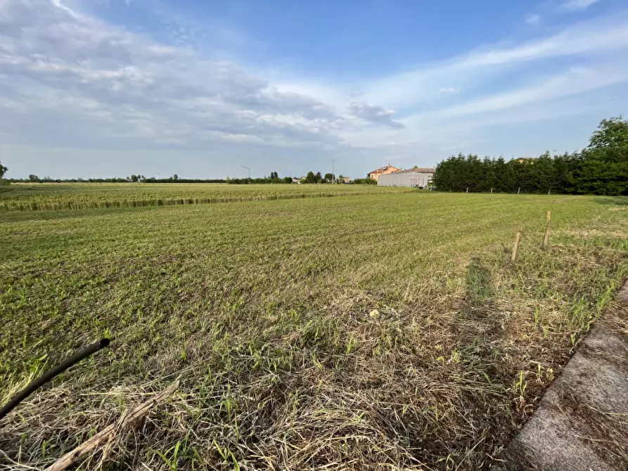 Immagine 10 di Terreno in vendita  in Via San Antonio a Veggiano