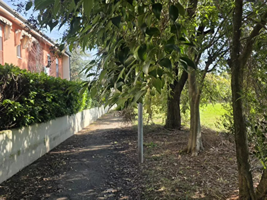 Immagine 5 di Appartamento in vendita  in Via Meduna 14 a Castelfranco Veneto