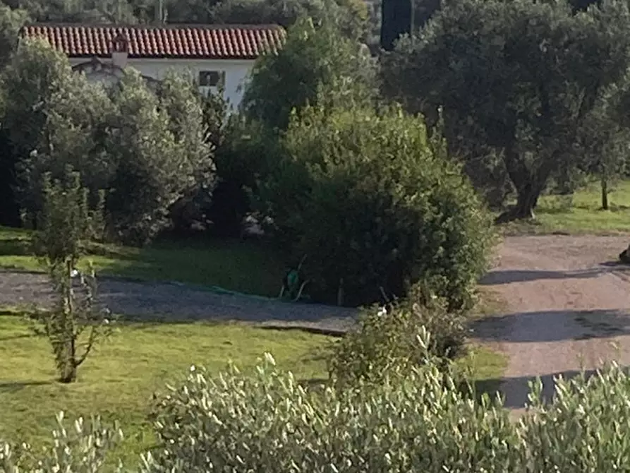 Immagine 34 di Villa in vendita  in Strada Poggio Tristo a Capalbio