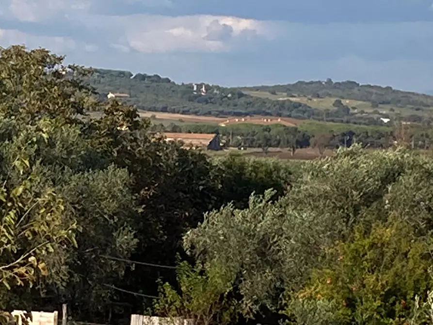 Immagine 37 di Villa in vendita  in Strada Poggio Tristo a Capalbio