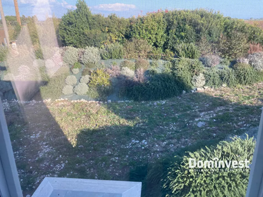 Immagine 40 di Villa in vendita  in Strada Poggio Tristo a Capalbio