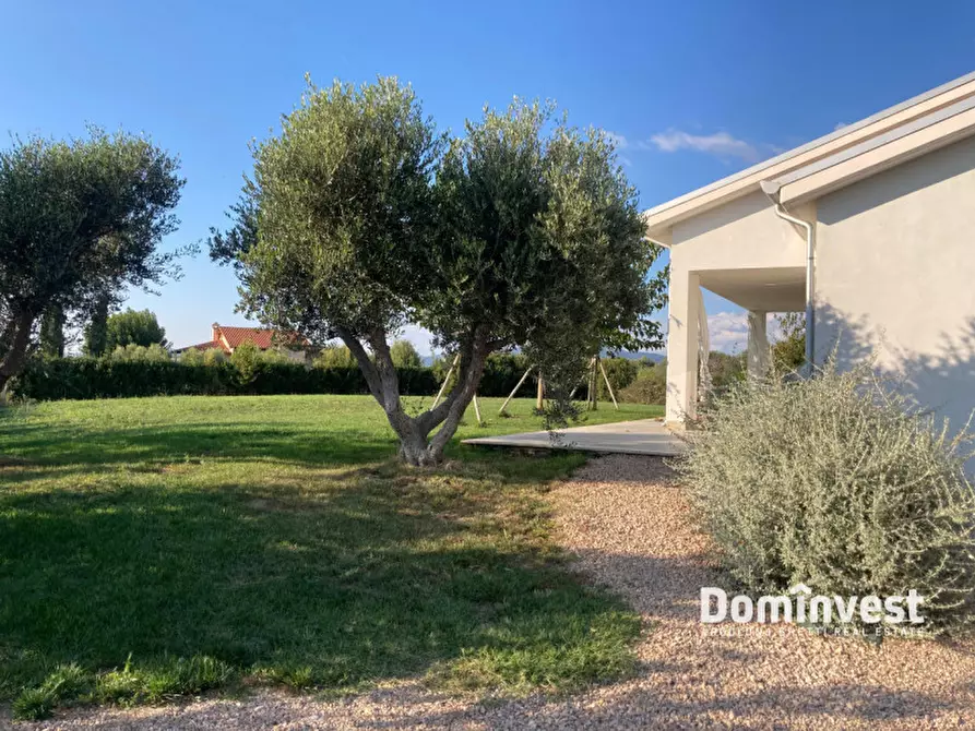 Immagine 41 di Villa in vendita  in Strada Poggio Tristo a Capalbio