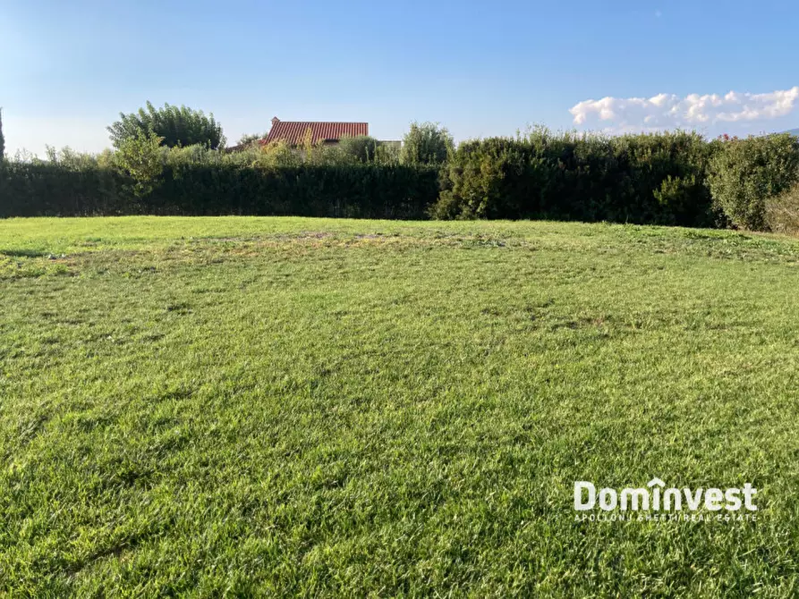 Immagine 45 di Villa in vendita  in Strada Poggio Tristo a Capalbio