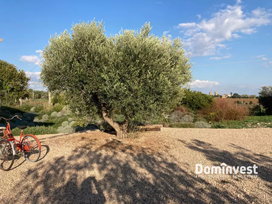 Immagine 50 di Villa in vendita  in Strada Poggio Tristo a Capalbio