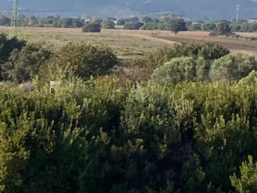 Immagine 54 di Villa in vendita  in Strada Poggio Tristo a Capalbio