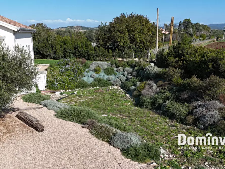Immagine 60 di Villa in vendita  in Strada Poggio Tristo a Capalbio