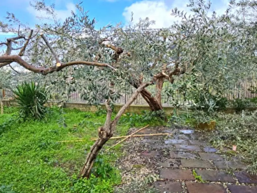 Immagine 4 di Villa in vendita  in Via M 25 a Monreale