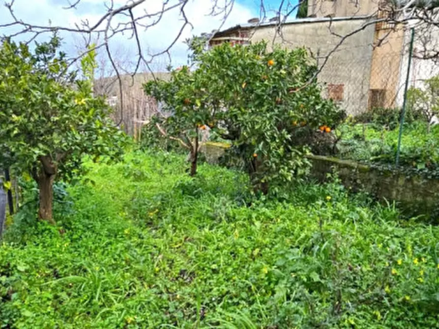 Immagine 5 di Villa in vendita  in Via M 25 a Monreale