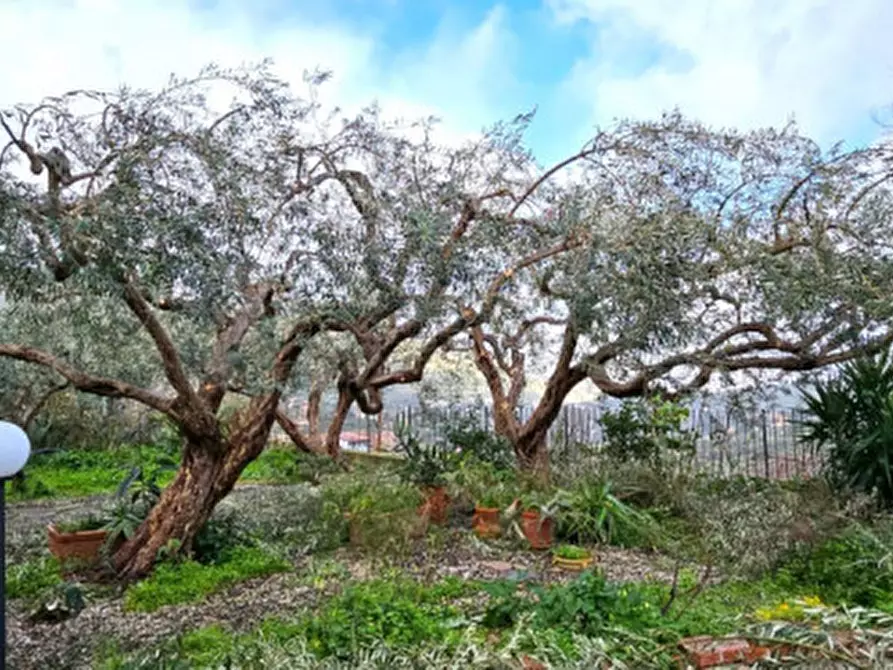 Immagine 8 di Villa in vendita  in Via M 25 a Monreale