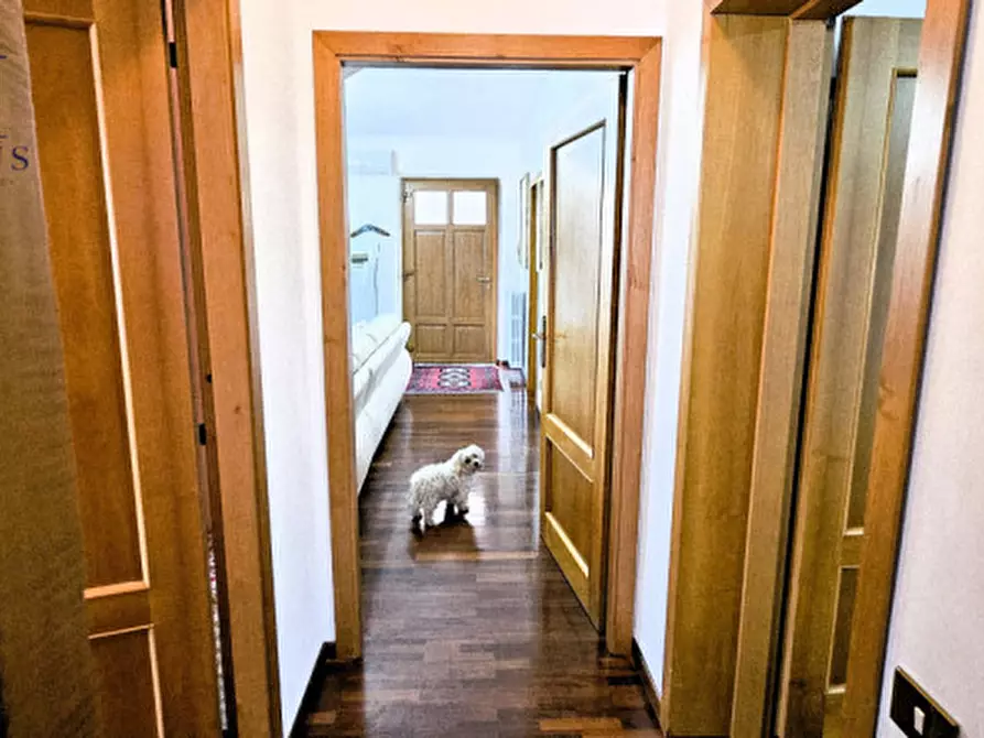 Immagine 46 di Casa bifamiliare in vendita  a Fano