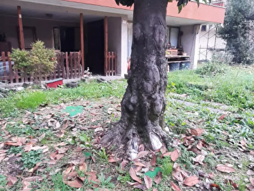 Immagine 1 di Casa indipendente in vendita  a Selvazzano Dentro