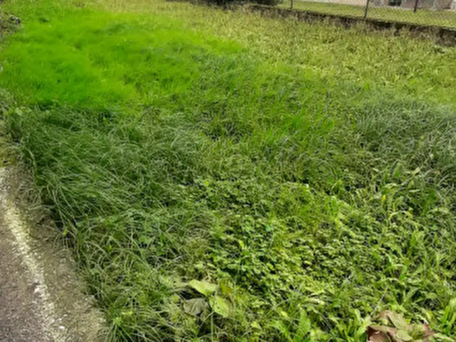 Immagine 8 di Casa indipendente in vendita  a Selvazzano Dentro