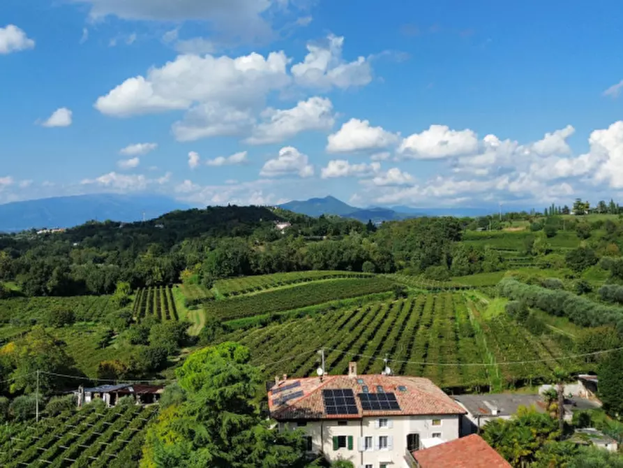 Immagine 1 di Terreno in vendita  in Località Rotti a Bussolengo