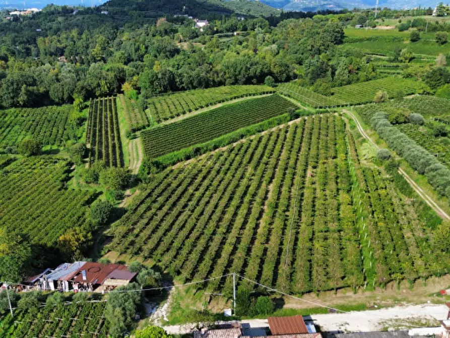 Immagine 2 di Terreno in vendita  in Località Rotti a Bussolengo