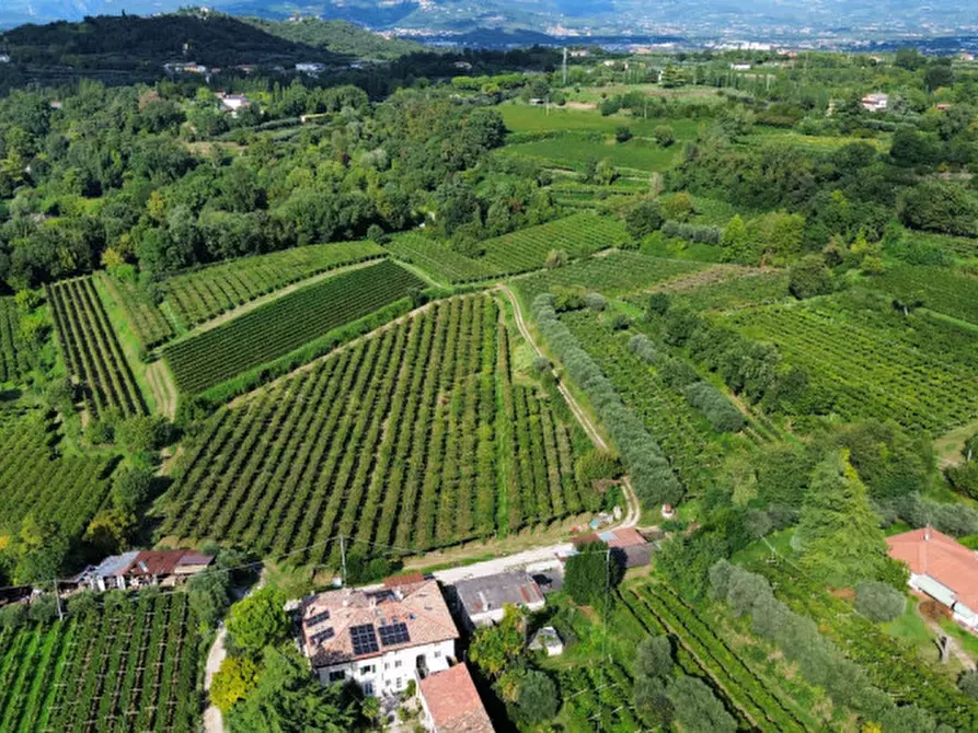 Immagine 3 di Terreno in vendita  in Località Rotti a Bussolengo