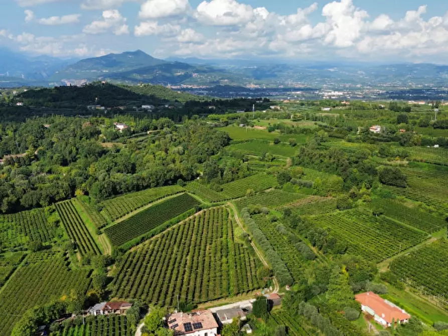 Immagine 4 di Terreno in vendita  in Località Rotti a Bussolengo