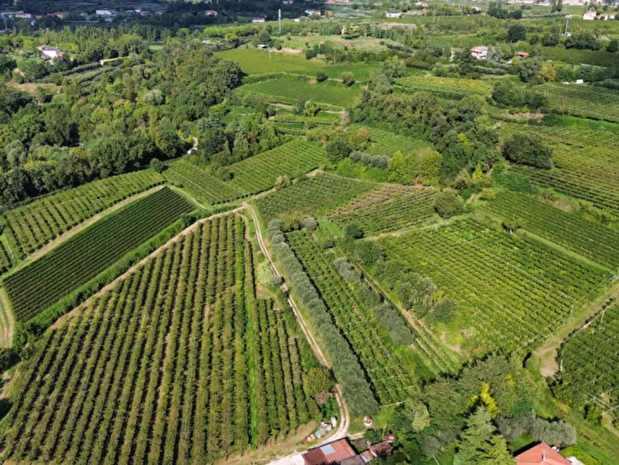 Immagine 5 di Terreno in vendita  in Località Rotti a Bussolengo