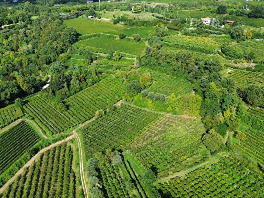 Immagine 6 di Terreno in vendita  in Località Rotti a Bussolengo
