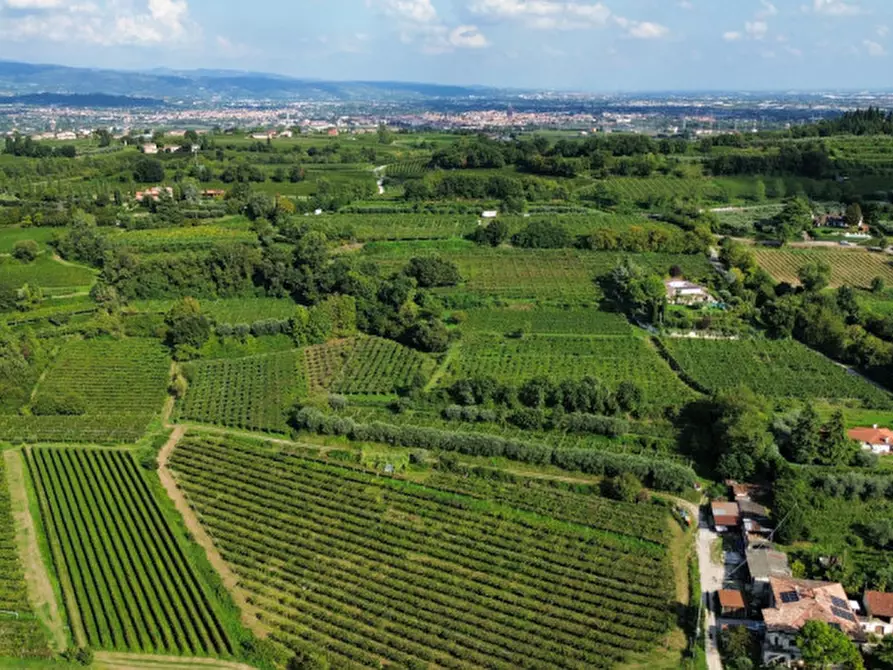 Immagine 7 di Terreno in vendita  in Località Rotti a Bussolengo