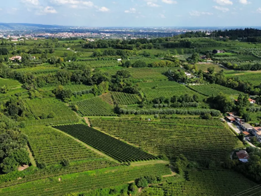 Immagine 8 di Terreno in vendita  in Località Rotti a Bussolengo