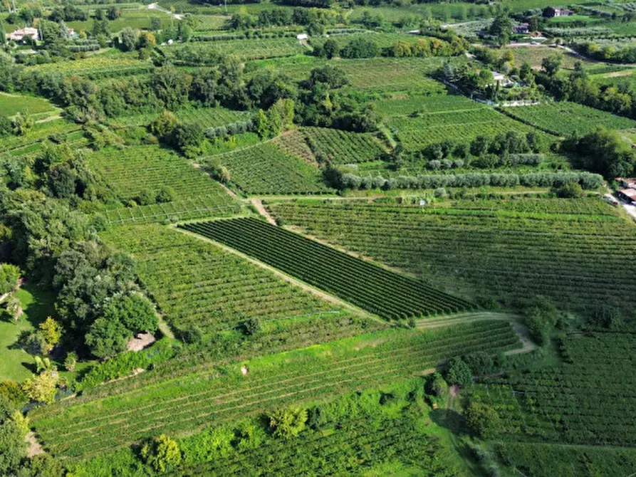 Immagine 9 di Terreno in vendita  in Località Rotti a Bussolengo