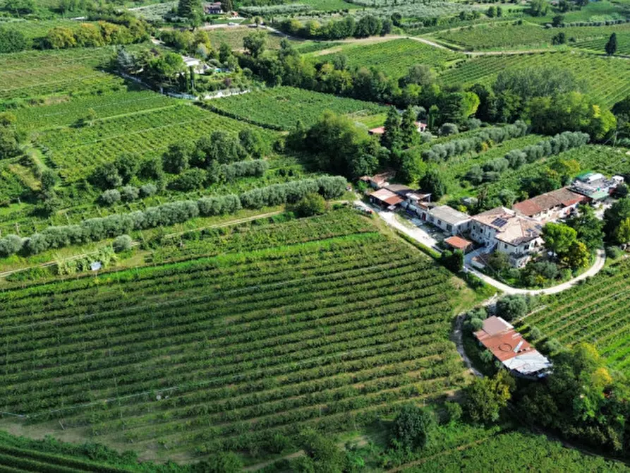 Immagine 10 di Terreno in vendita  in Località Rotti a Bussolengo