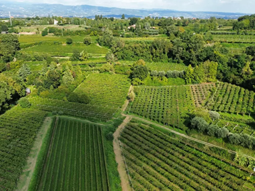 Immagine 11 di Terreno in vendita  in Località Rotti a Bussolengo