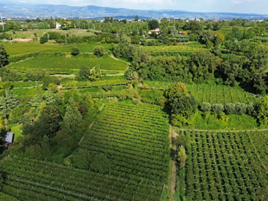Immagine 12 di Terreno in vendita  in Località Rotti a Bussolengo