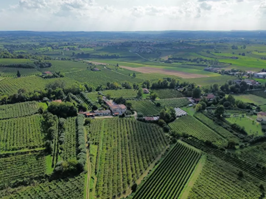 Immagine 14 di Terreno in vendita  in Località Rotti a Bussolengo
